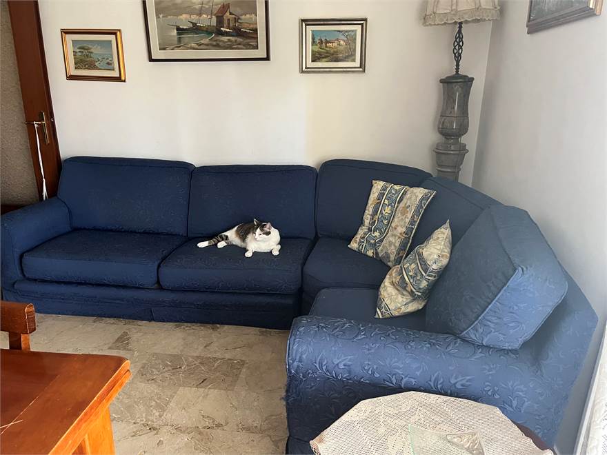 AMIAMO GLI ANIMALI!
