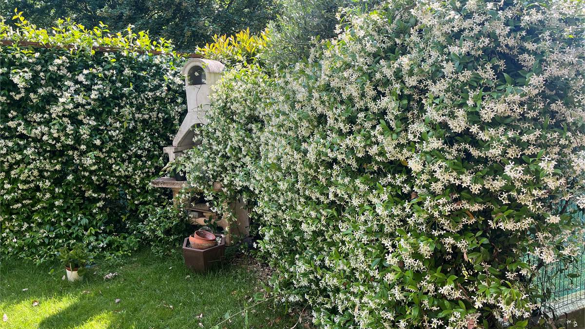GIARDINO