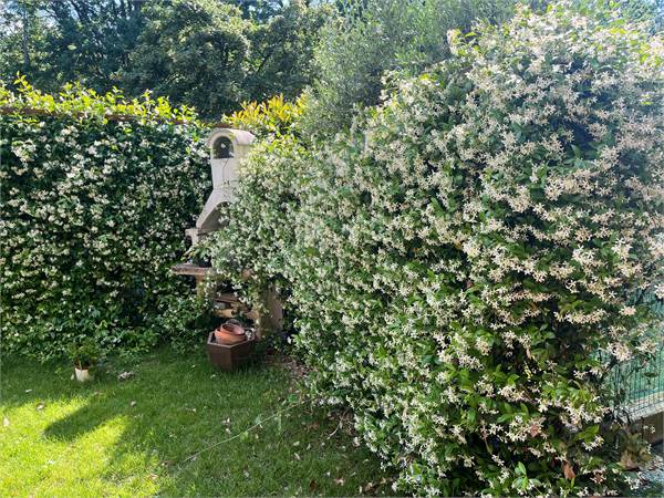Appartamento con giardino e tre camere da letto